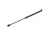 氣彈簧 Gas Spring:1651 601