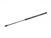 氣彈簧 Gas Spring:000 750 03 36