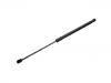 氣彈簧 Gas Spring:1 523 356