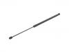 氣彈簧 Gas Spring:3T5 827 550