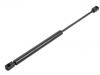 氣彈簧 Gas Spring:8N8 827 552