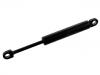 氣彈簧 Gas Spring:001 980 77 64