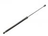 氣彈簧 Gas Spring:B000877780