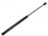 氣彈簧 Gas Spring:C513-62-620A