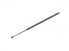 氣彈簧 Gas Spring:55113632AB