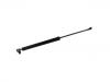 氣彈簧 Gas Spring:63269-SG020