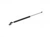 氣彈簧 Gas Spring:63269-SG000