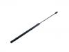 氣彈簧 Gas Spring:4M0 827 552 A