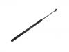 氣彈簧 Gas Spring:80A 827 552 C