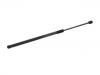 氣彈簧 Gas Spring:C2Z22299