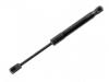 氣彈簧 Gas Spring:51 21 7 271 304