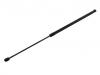 氣彈簧 Gas Spring:3C8 823 359