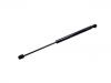 氣彈簧 Gas Spring:81160-2P000