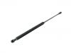 氣彈簧 Gas Spring:60663658