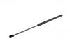 氣彈簧 Gas Spring:3G8 823 359 A