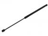 氣彈簧 Gas Spring:5JJ 827 550 C