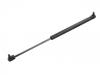 氣彈簧 Gas Spring:81.74821.0039