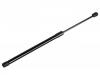 氣彈簧 Gas Spring:81850-77R00