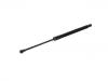 Gas Spring:68960-0W790