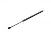 Gas Spring:51 24 7 389 398