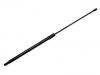 Gas Spring:4N0 827 919