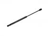 Gas Spring:7E7 827 550