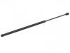 Gas Spring:407 828 550 B