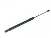 Gas Spring:39197491