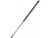 氣彈簧 Gas Spring:MR959243