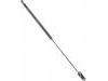 氣彈簧 Gas Spring:81860-62B20