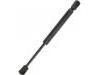 氣彈簧 Gas Spring:BN8W-56-930B