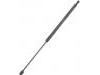 氣彈簧 Gas Spring:81771-2C010