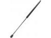 氣彈簧 Gas Spring:81771-2C021