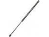 氣彈簧 Gas Spring:8731.F6