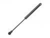氣彈簧 Gas Spring:129 980 05 64
