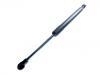 氣彈簧 Gas Spring:51 24 7 016 186