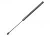氣彈簧 Gas Spring:4L0 827 552 E