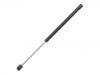 氣彈簧 Gas Spring:01 76 605